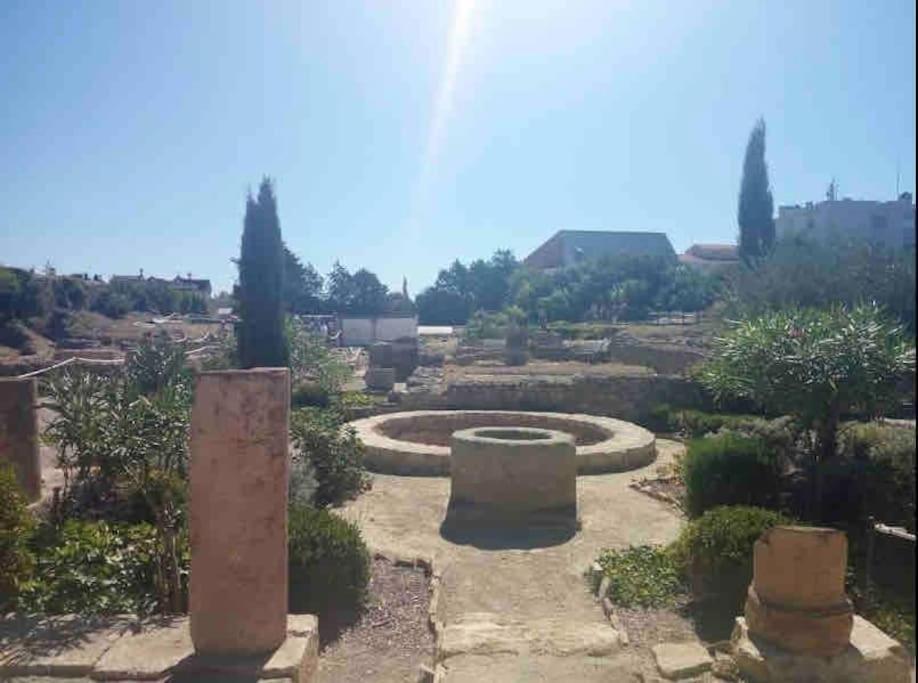 Soleil Sucre T2 Centre Historique De Narbonne Apartment Bagian luar foto