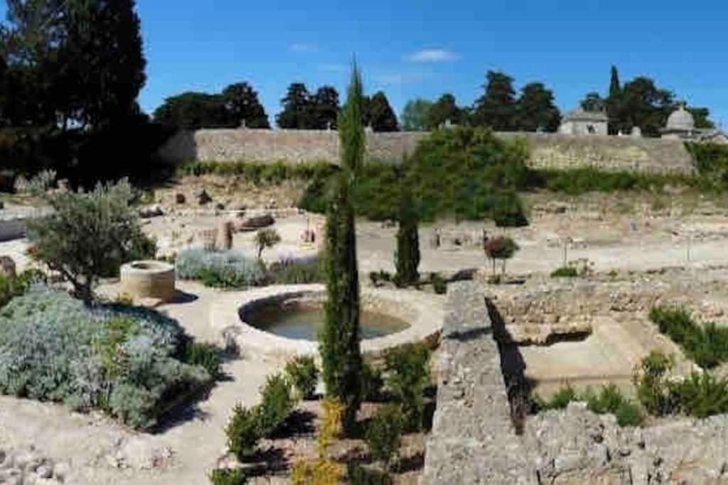 Soleil Sucre T2 Centre Historique De Narbonne Apartment Bagian luar foto