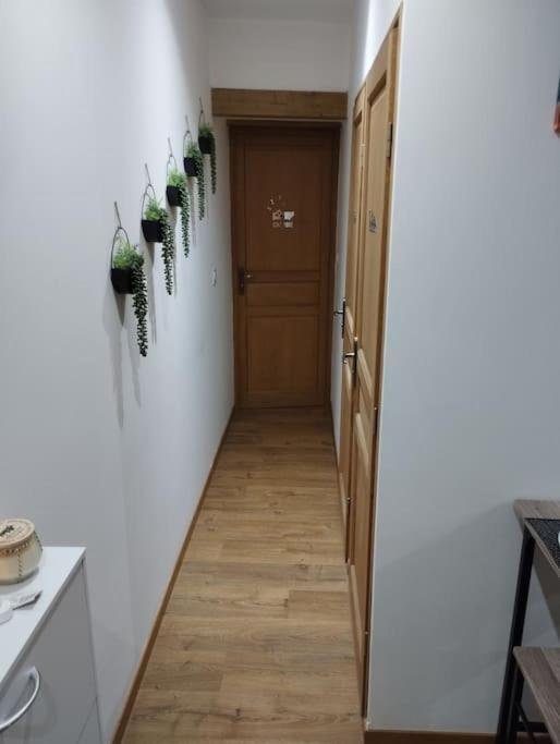 Soleil Sucre T2 Centre Historique De Narbonne Apartment Bagian luar foto